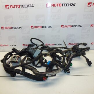 Cablaj motor Citroën Peugeot 1.4HDI 8HR 9675234280