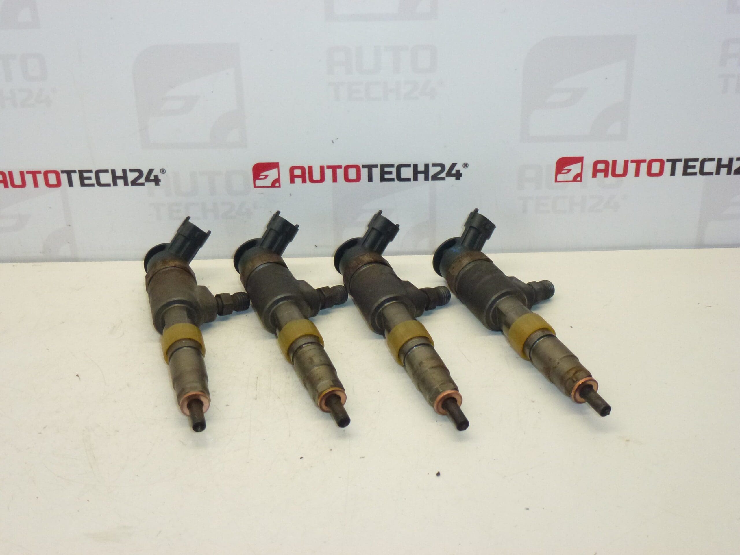 Set injectie Bosch 1.4 HDI 0445110339 1980EJ