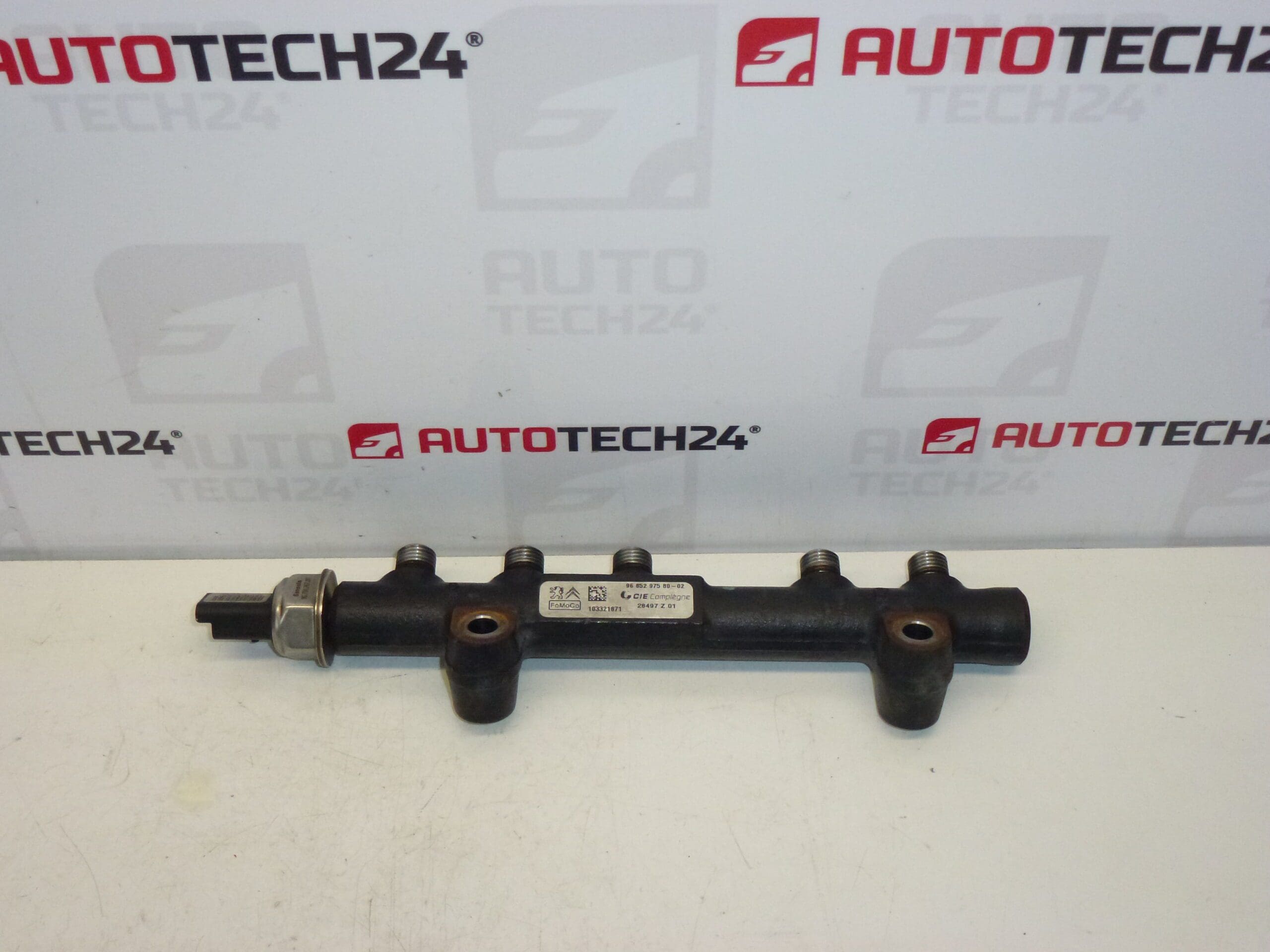 Sina RAIL Citroën Peugeot 9685297580 1570Q4