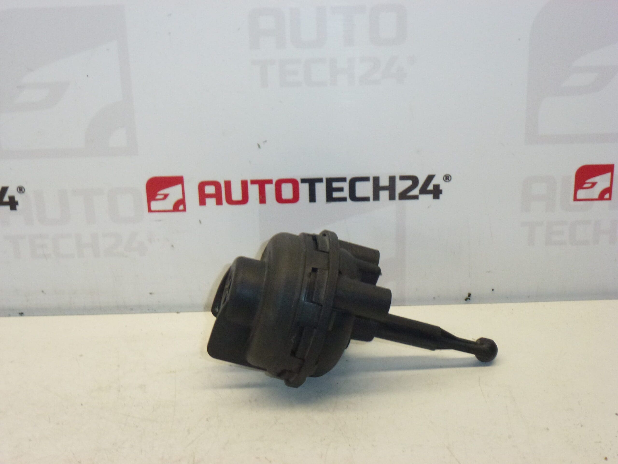 Actuator clapeta de vid Citroën Peugeot 9636281780 036394