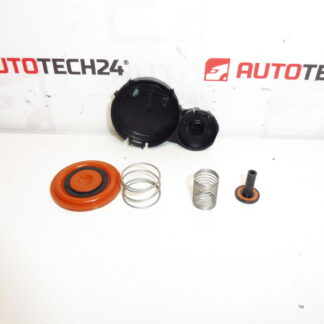 Kit diafragmă capac supape 1.6 HDI 0248S0