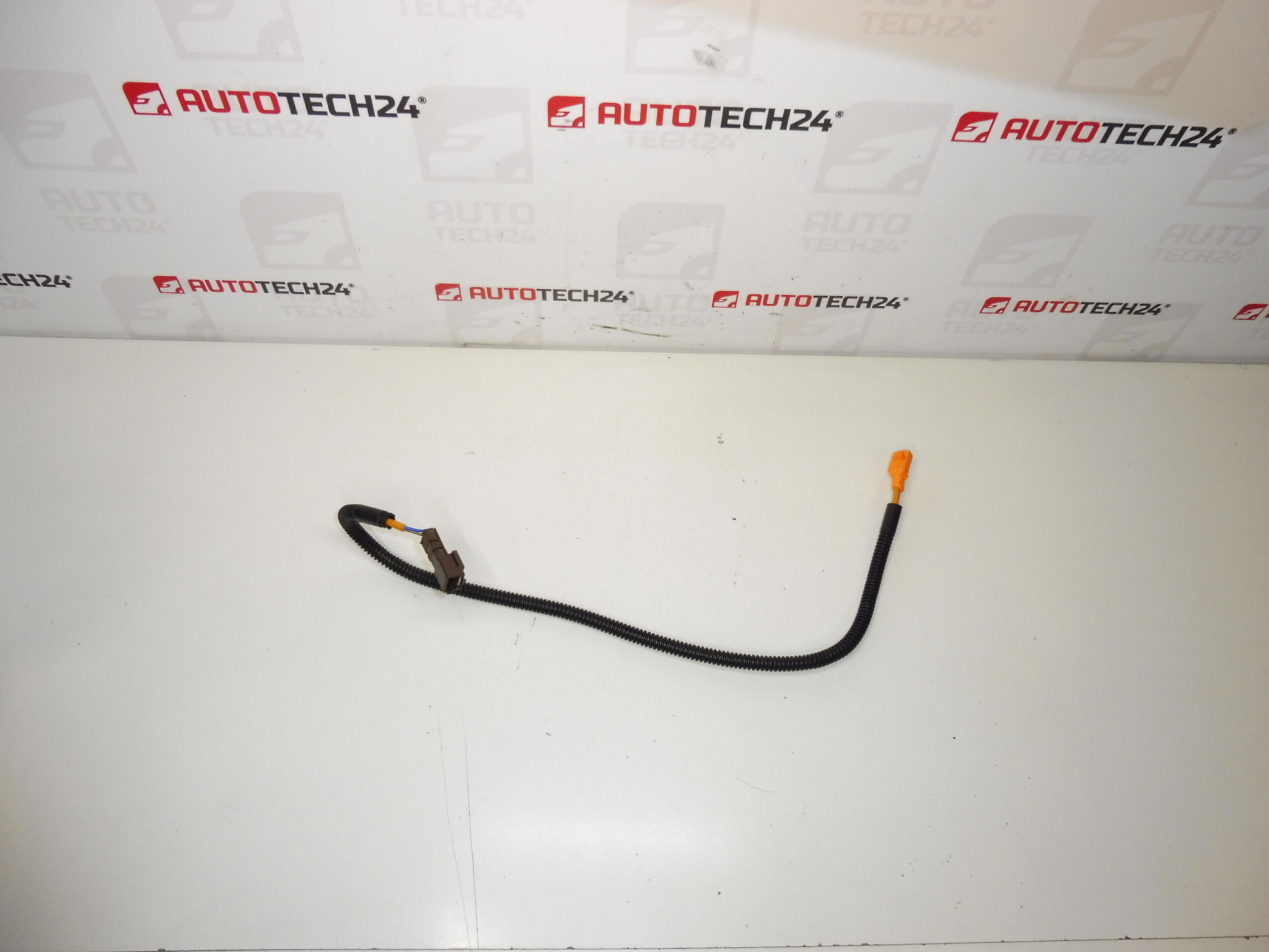 Ansamblu întinzător curele Citroën Peugeot 8978FP