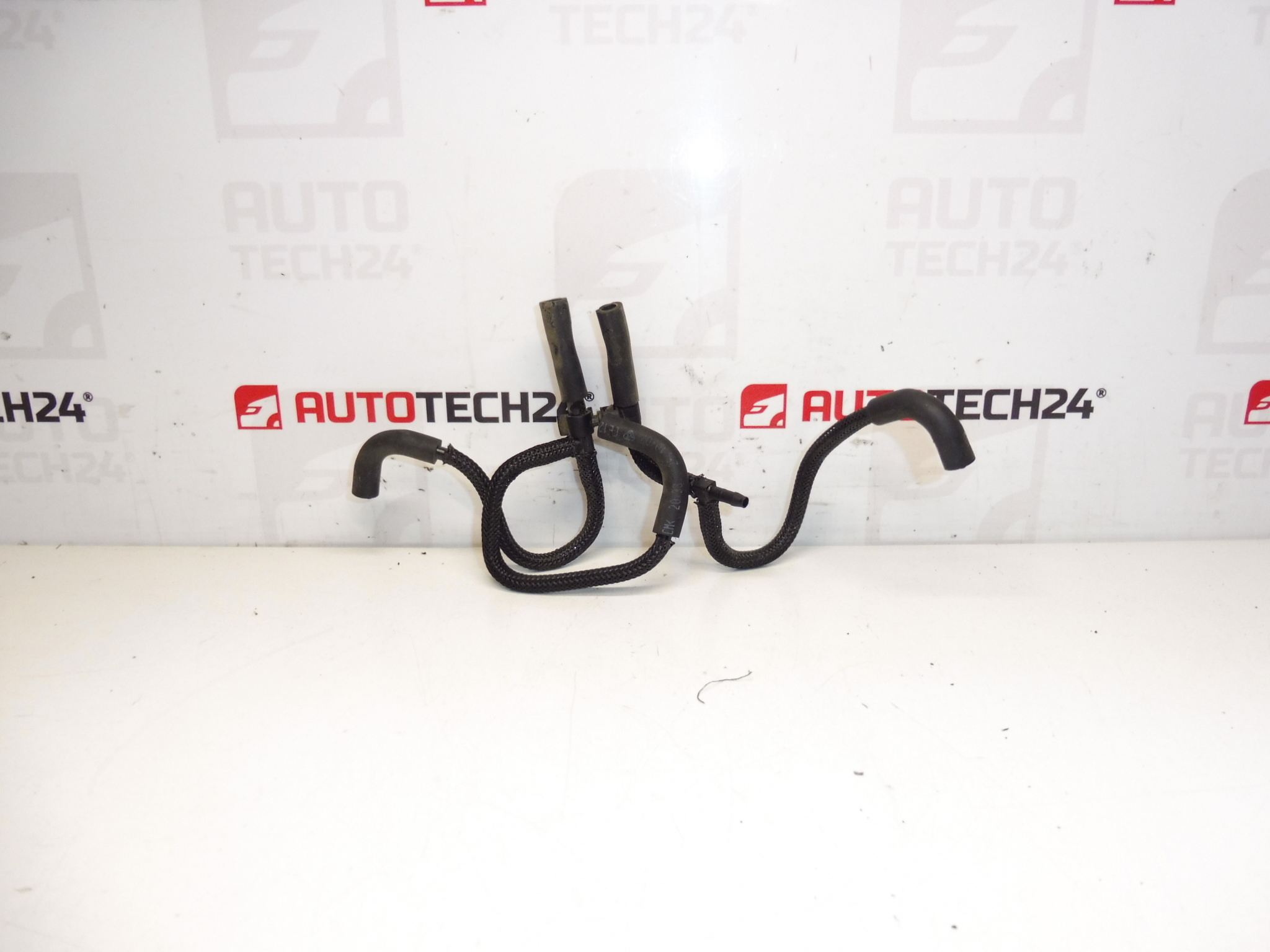 Conducta de vid Citroën Peugeot 2.2 HDI 1622AE