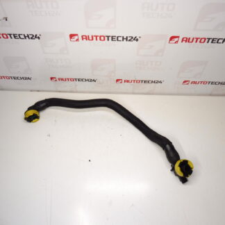 Conectarea Citroën Peugeot 2.0 HDI 1192cc Ulei PAR