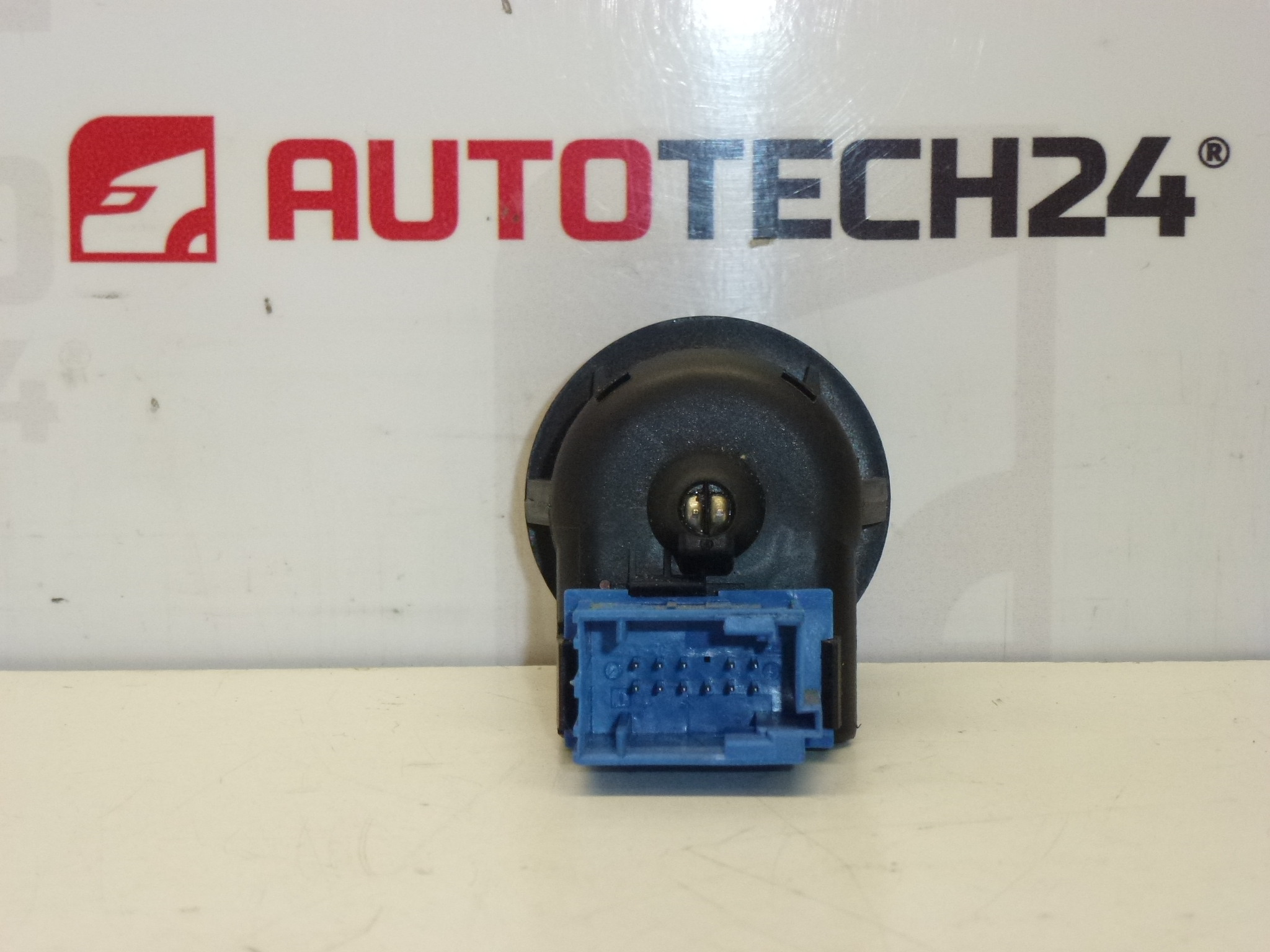 Sofer oglinda Citroën Peugeot 6554L6