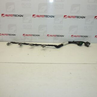 Cablaj injectoare DELPHI Citroën Peugeot 2.0 HDI 9662908580 6569Y5