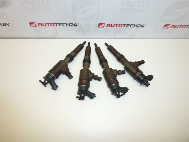 Kit injectie Bosch 1.4 HDI 0445110252 1980K2