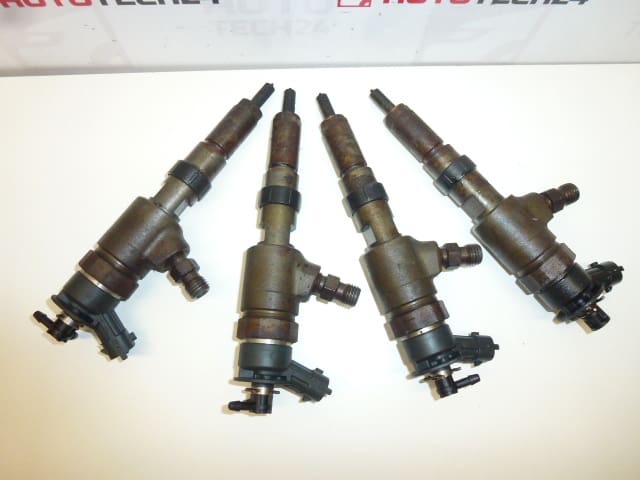 Kit injectie Bosch 1.4 HDI 0445110252 1980K2