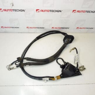 Cablu de conectare + Pol în Citroën Peugeot 1497069080 1497070080 Motor