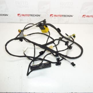 Citroen C4 Picasso Valeo 5243596 Scaunul șoferului