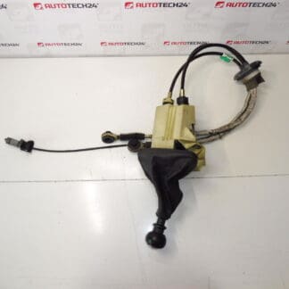 Fundalul și deplasarea a 6 viteze Citroën Peugeot 2400p7 2444x8 241059