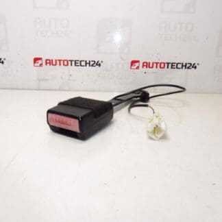 Titular de pașaport pentru pasageri Peugeot 407 8973pv