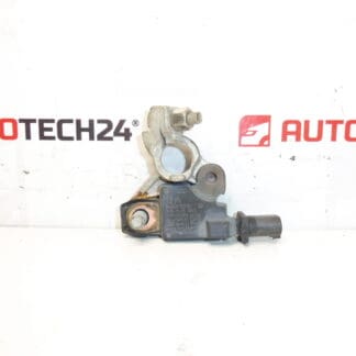 Citroën Peugeot 9666919780 UNITATEA POLULUI negativ