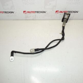 Un pachet pozitiv pentru baterie Citroën Peugeot 1612229980