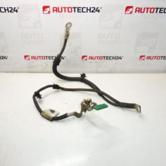 Citroën Peugeot 9664284080 cablaj motor negativ