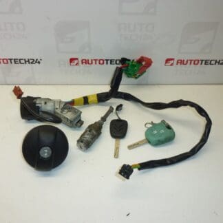 Set broaste Citroën C2 C3 4162AG 4162AH 2 placi