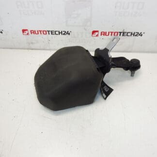 Centura spate Citroen C3 II A51 DS3 98019948XX