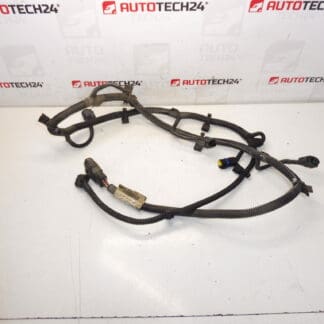 Ham PDC spate Citroen C4 Picasso 9659517080 6575Y4