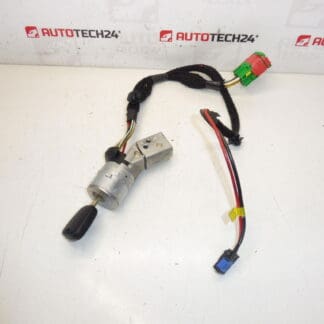 Cutie comutatoare 1 cheie Peugeot 307 4162AS