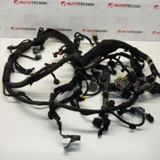 Conector Citroën Peugeot 1.6HDI 9662415380 9662415480 6569Z0