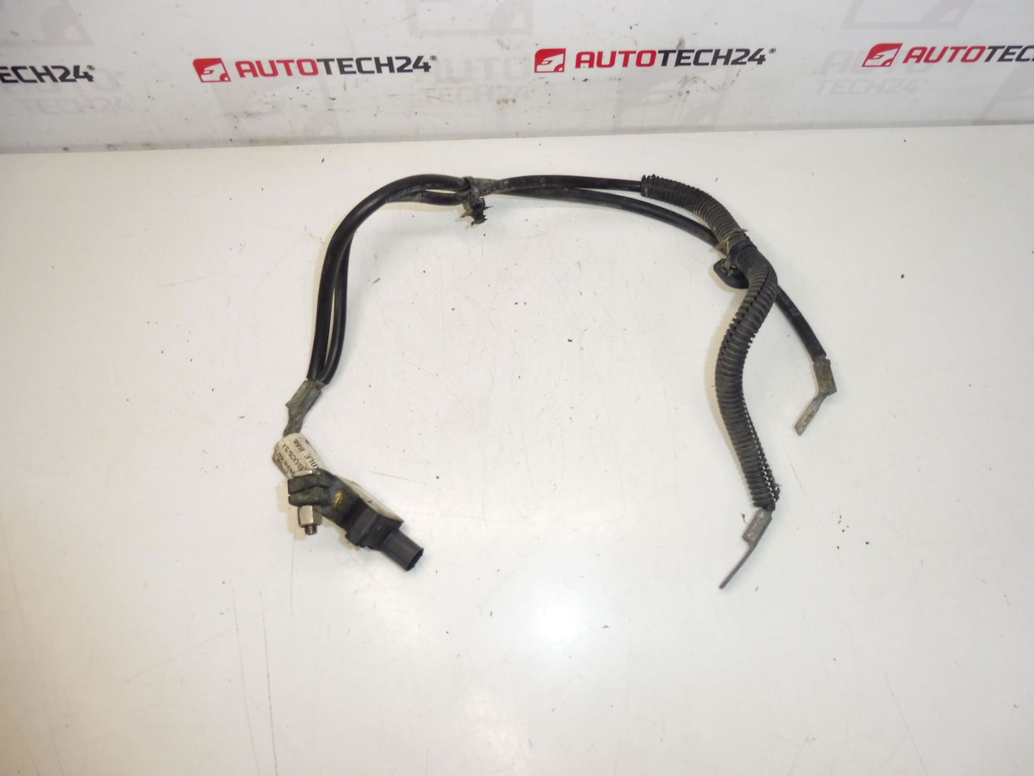 Cablu pol negativ Citroën Peugeot 2.0HDI 9664067880 5638SP